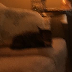 Meet your Posher, Carrie